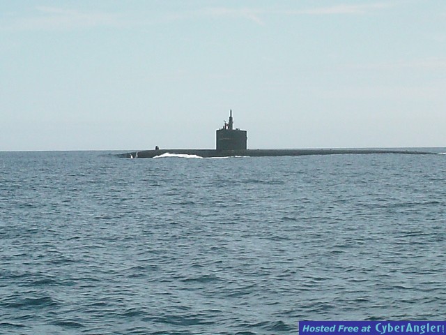 Click to Enlarge Photo