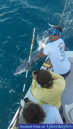 Click to Enlarge Photo