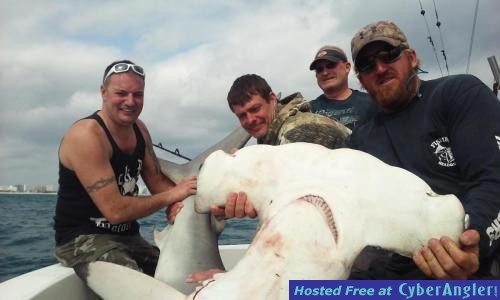 Click to Enlarge Photo