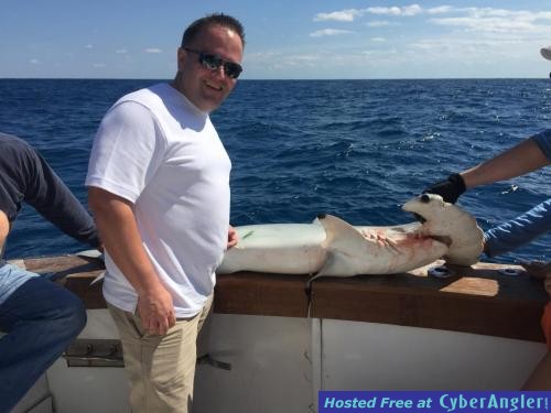 Click to Enlarge Photo