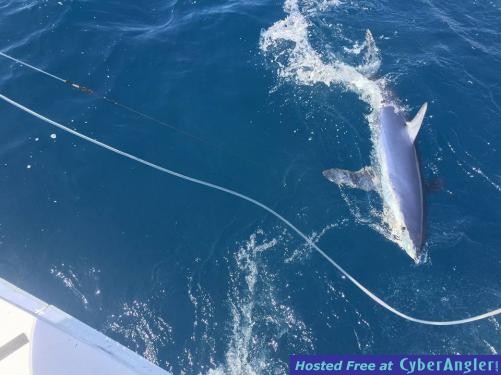 Click to Enlarge Photo