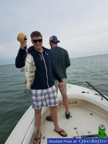 Click to Enlarge Photo