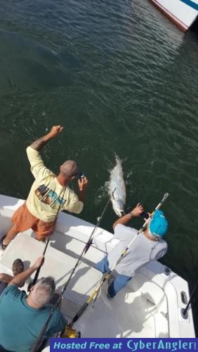 Click to Enlarge Photo