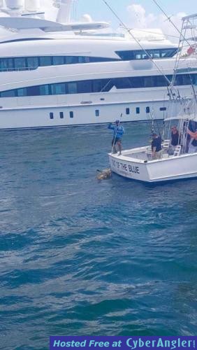 Click to Enlarge Photo