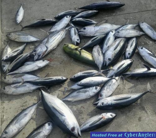 Click to Enlarge Photo