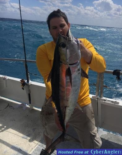 Click to Enlarge Photo