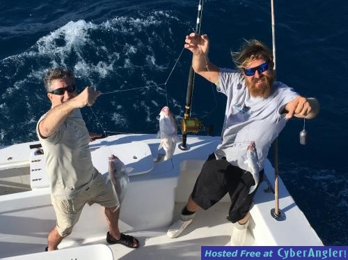 Click to Enlarge Photo