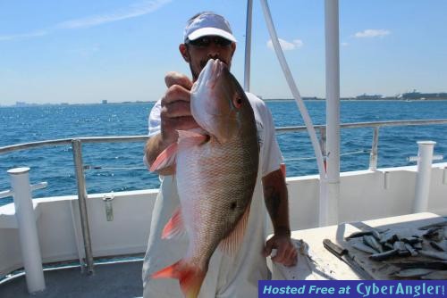 Click to Enlarge Photo