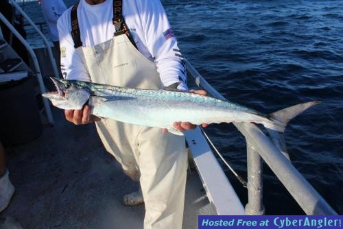 Click to Enlarge Photo