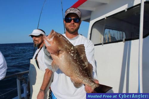 Click to Enlarge Photo