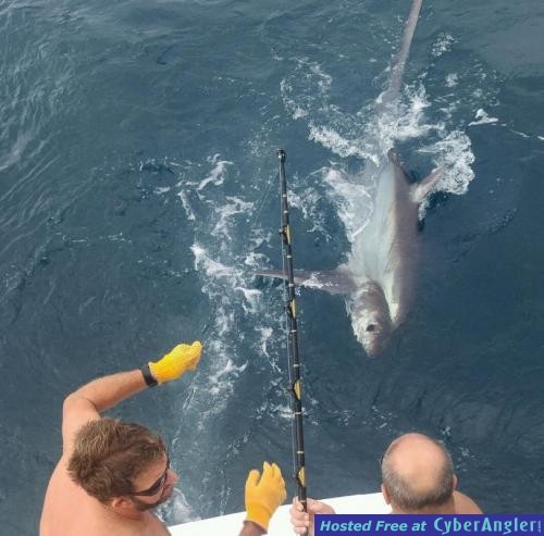 Click to Enlarge Photo