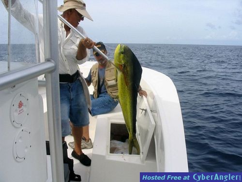 Click to Enlarge Photo