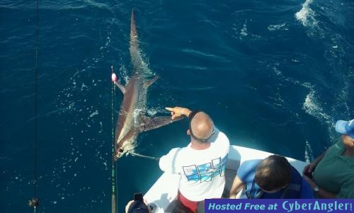 Click to Enlarge Photo