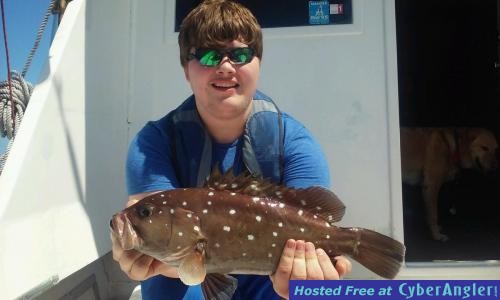 Click to Enlarge Photo