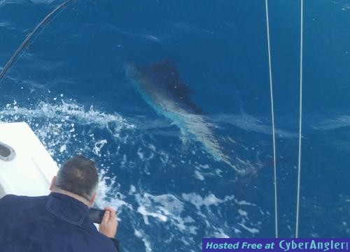 Click to Enlarge Photo