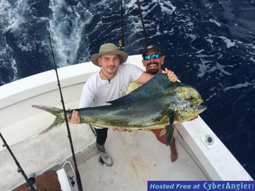 Click to Enlarge Photo