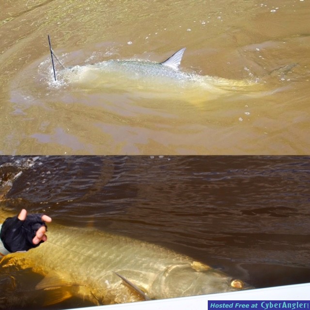 Click to Enlarge Photo