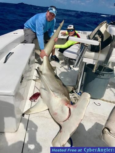 Click to Enlarge Photo