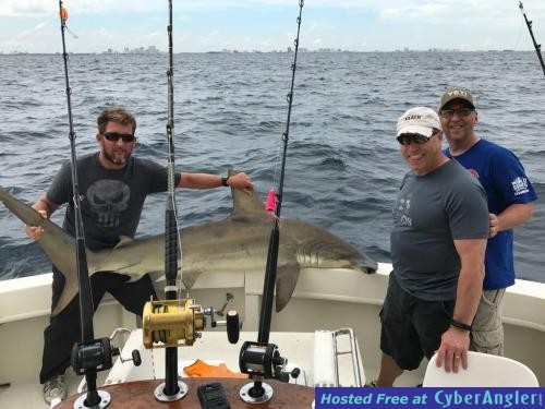 Click to Enlarge Photo