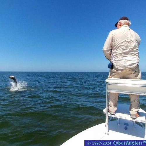 Click to Enlarge Photo