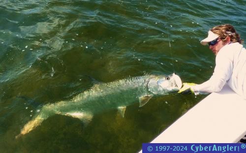 Click to Enlarge Photo