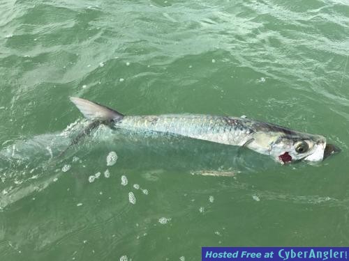 Click to Enlarge Photo