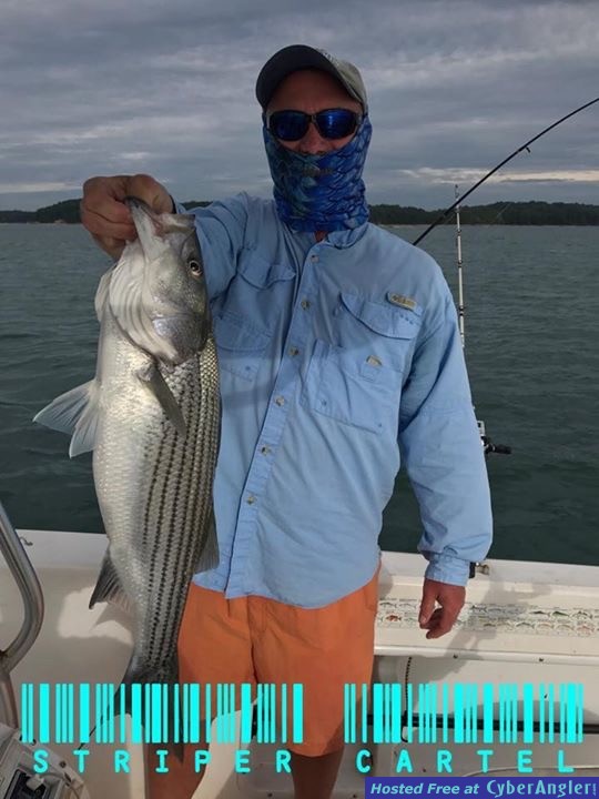 Click to Enlarge Photo