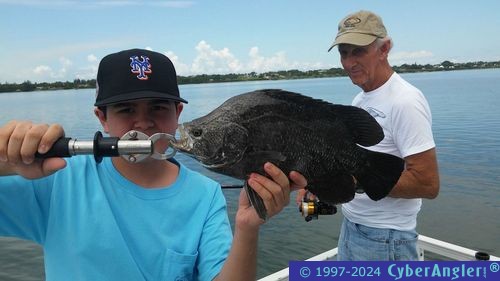 Click to Enlarge Photo