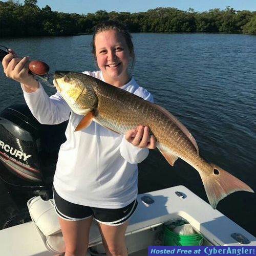 Click to Enlarge Photo