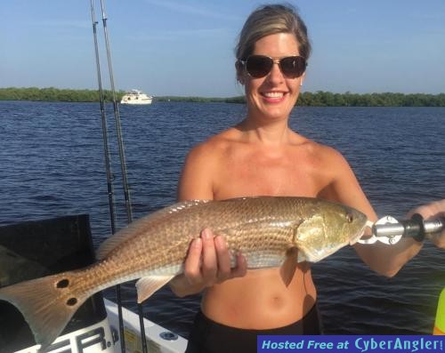 Click to Enlarge Photo