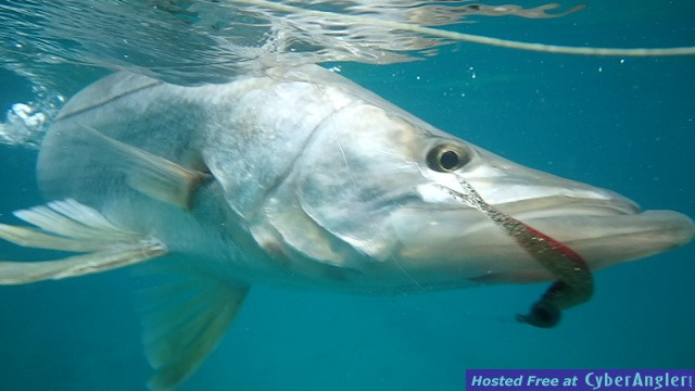 Click to Enlarge Photo