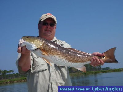 Click to Enlarge Photo