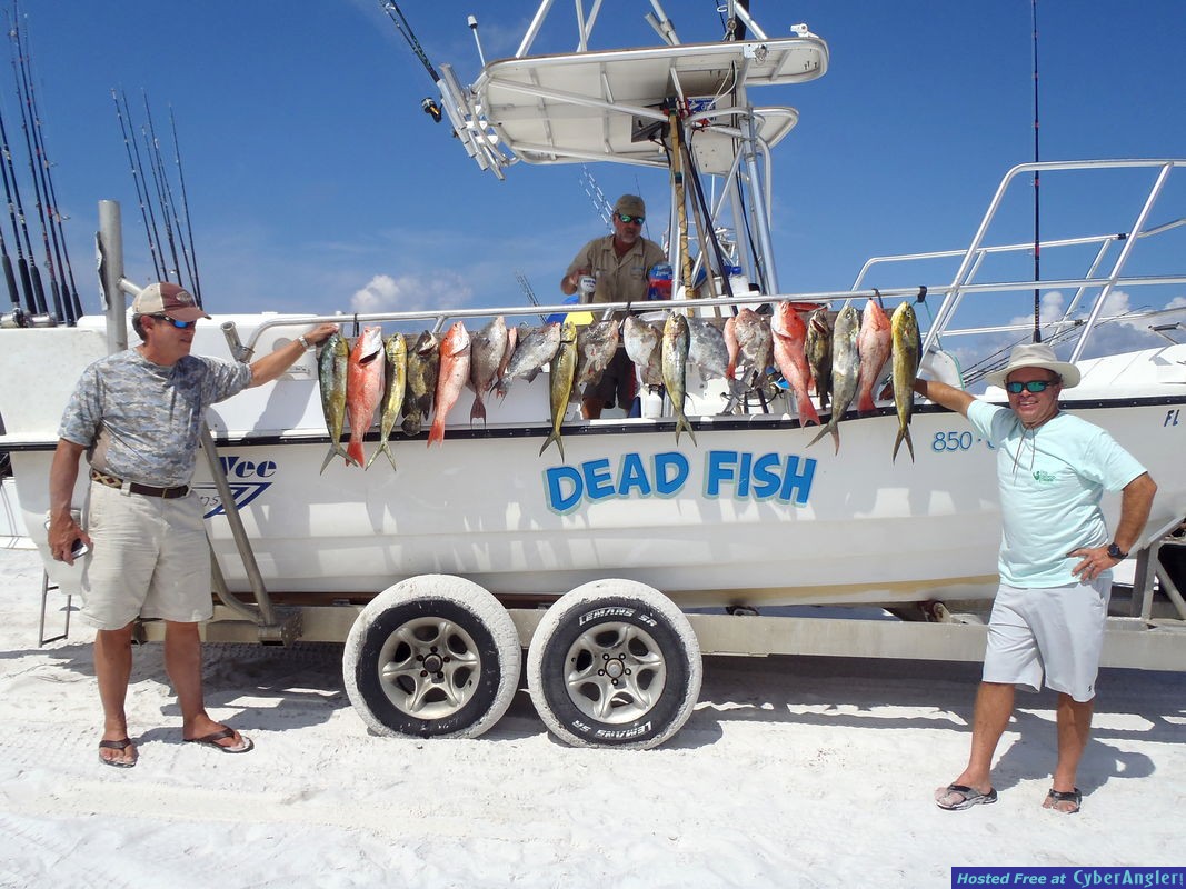 Click to Enlarge Photo