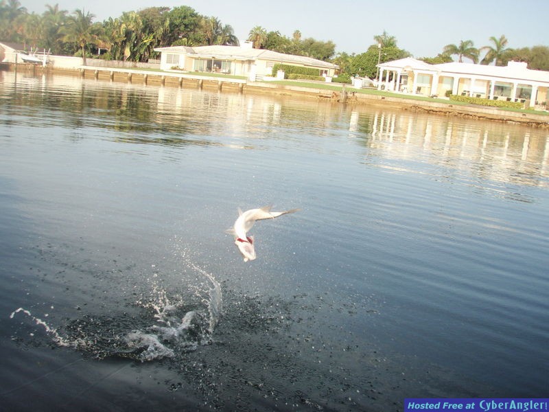 Click to Enlarge Photo