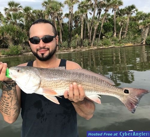 Click to Enlarge Photo