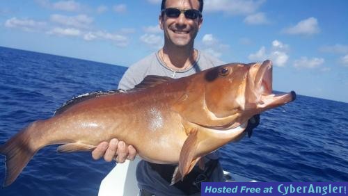 Click to Enlarge Photo