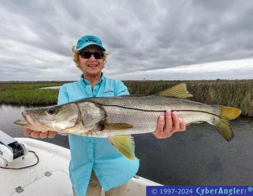 Click to Enlarge Photo