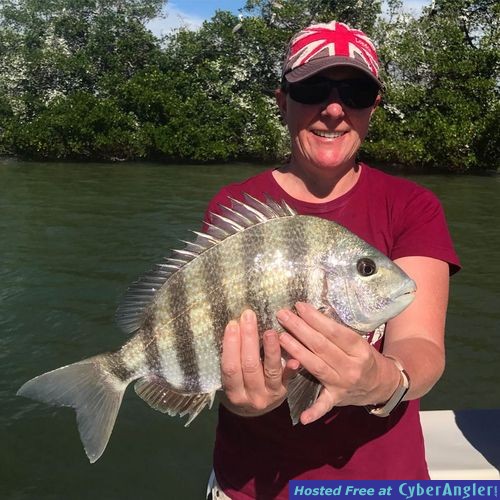 Click to Enlarge Photo