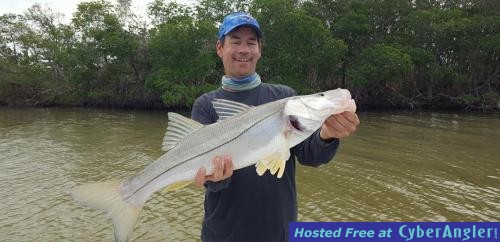 Click to Enlarge Photo