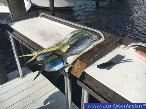 Click to Enlarge Photo