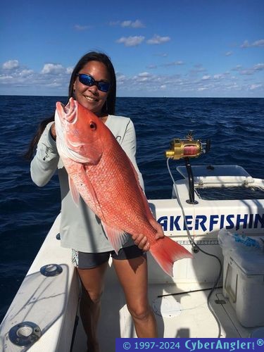 Click to Enlarge Photo