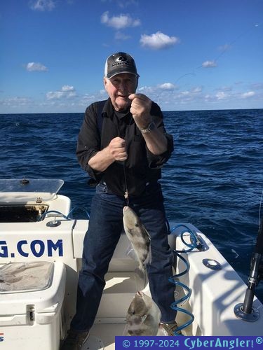 Click to Enlarge Photo