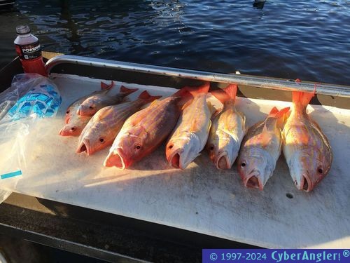 Click to Enlarge Photo