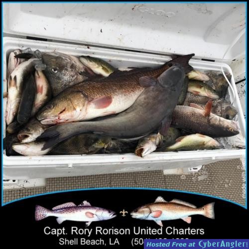 Click to Enlarge Photo