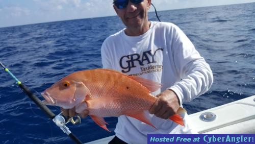 Click to Enlarge Photo