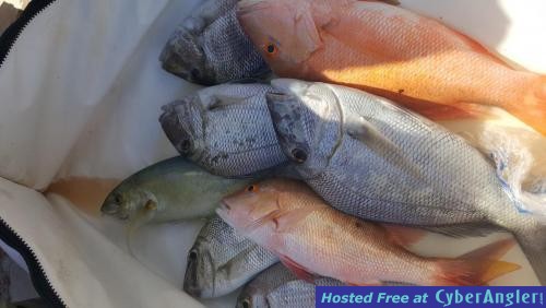 Click to Enlarge Photo