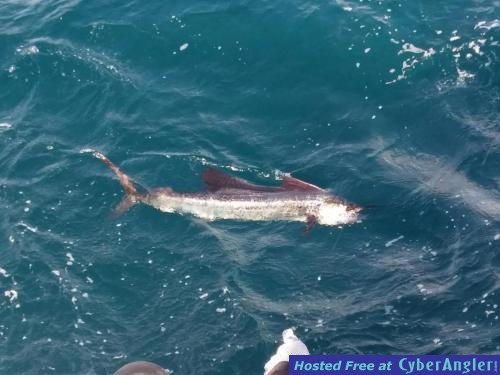 Click to Enlarge Photo