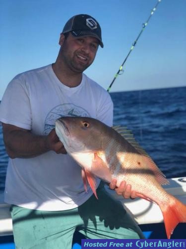 Click to Enlarge Photo