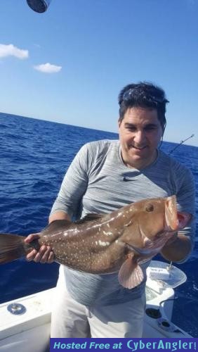 Click to Enlarge Photo