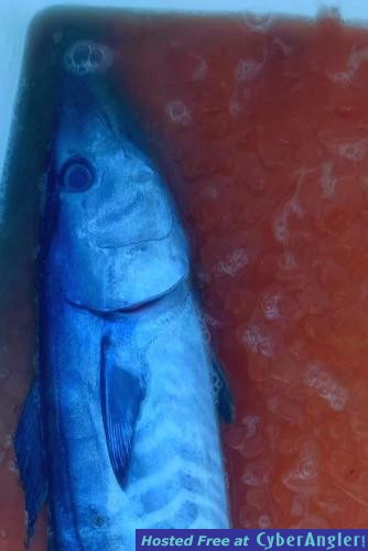 Click to Enlarge Photo